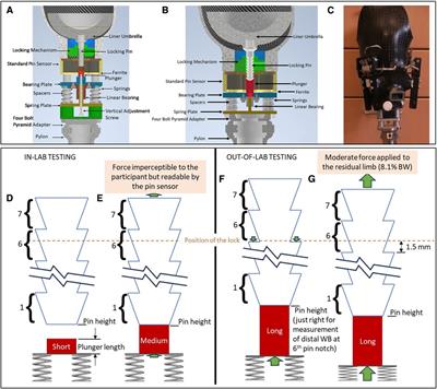 Distal weight bearing in transtibial prosthesis users wearing pin suspension